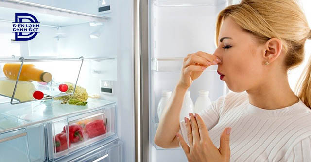 Cách vệ sinh tủ lạnh bị hôi