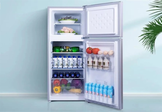 Tủ lạnh mini có ngăn đá không